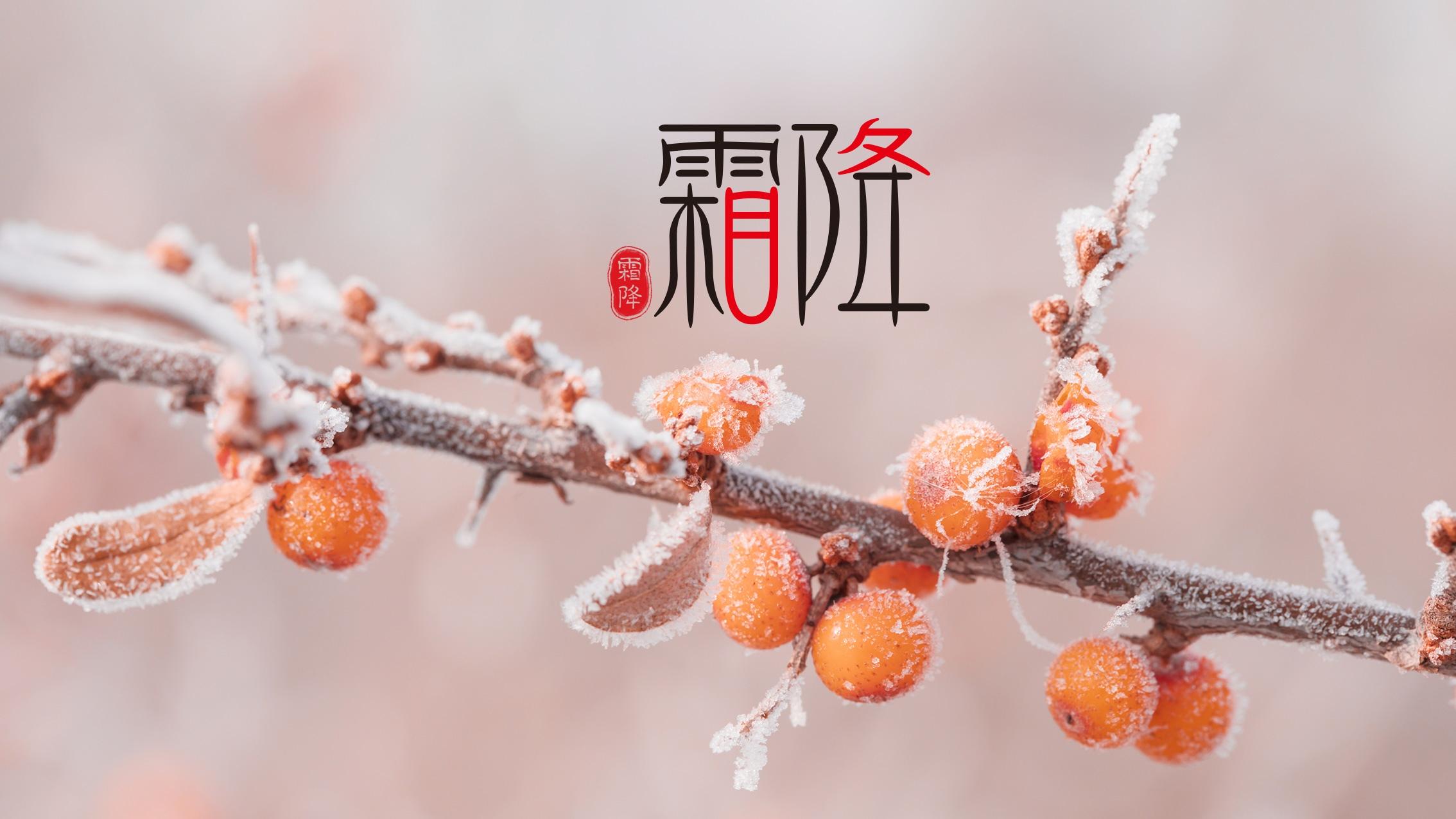 一葉知霜降，一雨感深秋