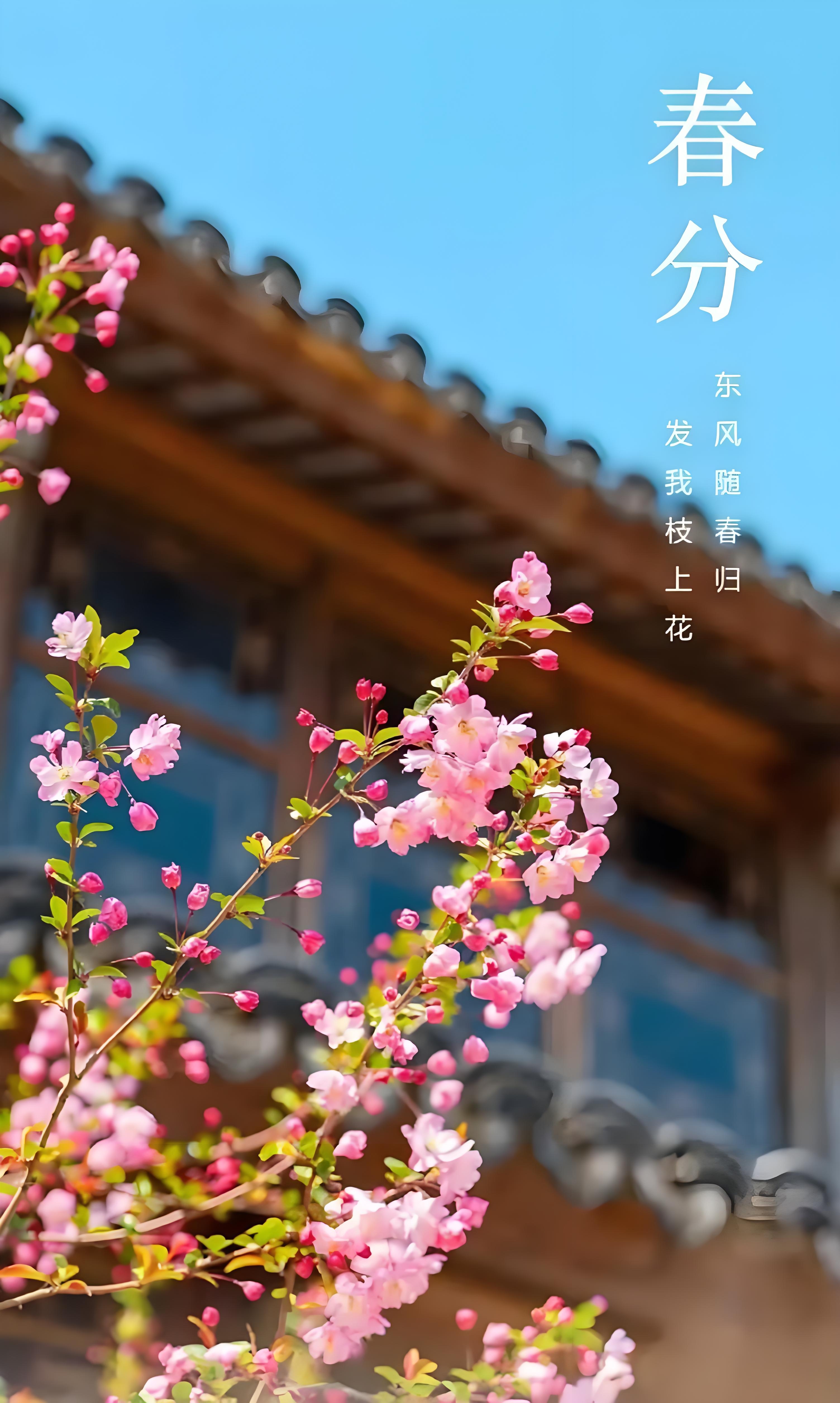 春風解人意，時光不負你